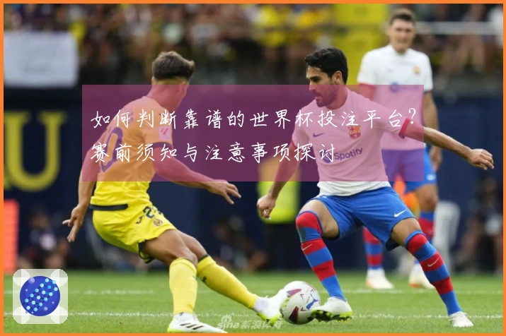 如何判断靠谱的世界杯投注平台？赛前须知与注意事项探讨
