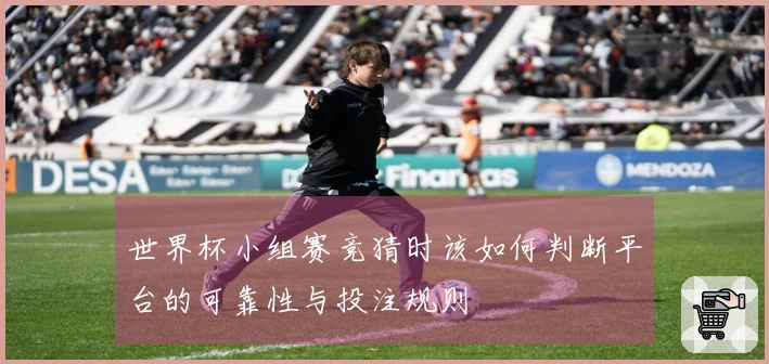 世界杯小组赛竞猜时该如何判断平台的可靠性与投注规则