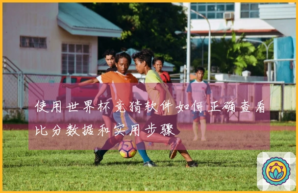 使用世界杯竞猜软件如何正确查看比分数据和实用步骤